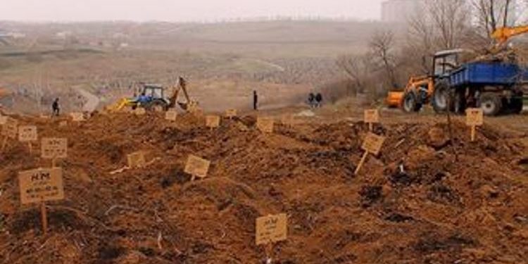 Сотрудники СМИ побывали на кладбище наемников в Ростове