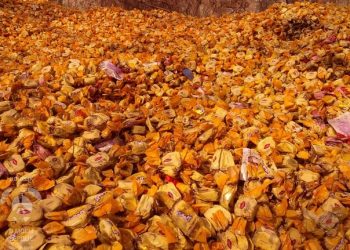 На улицы Донецка высыпали просроченные конфеты