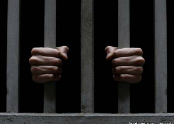 15-летний цыган в Ужгороде изнасиловал 7-летнюю девочку
