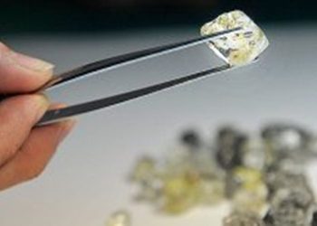 Американские эксперты обнаружили растение, указывающее на месторасположение алмазов