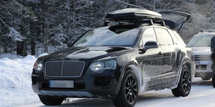 Компания Bentley может создать кроссовер размером с BMW X6