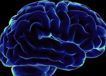 Специалисты смогут создать бионический мозг