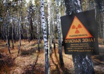 СМИ: Основной версией пожара под Чернобылем назвали поджог