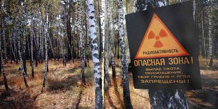 СМИ: Основной версией пожара под Чернобылем назвали поджог