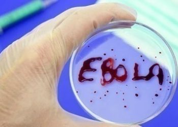 В Италии зафиксирован первый случай заболевания Эбола