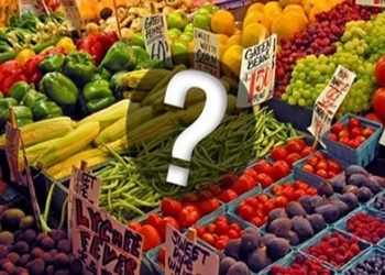 Ученые не видят ничего страшного в ГМО продуктах