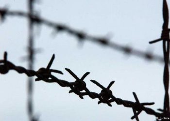 Подозреваемые в расстреле милиционеров под Киевом уже арестованы