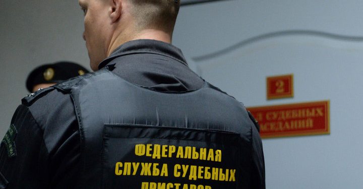В Удмуртии было арестовано чучело лисы с двумя головами