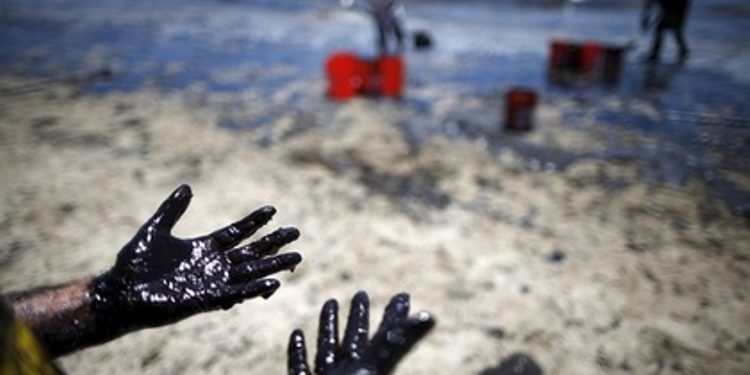 В Калифорнии после разлива нефти введен режим ЧС