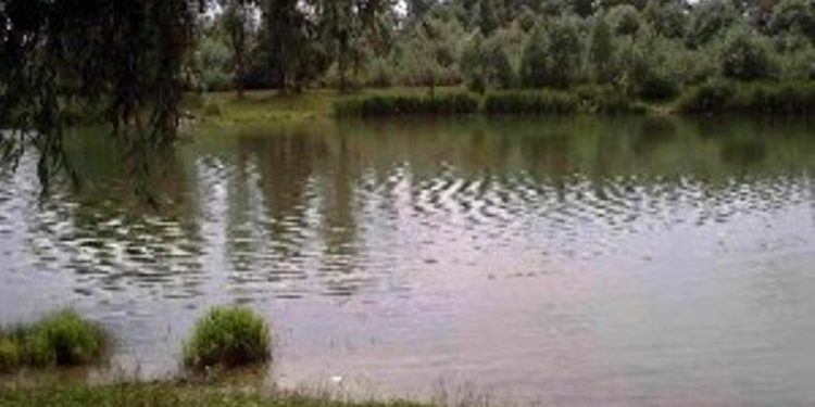 В Киеве в озере утонул ребенок