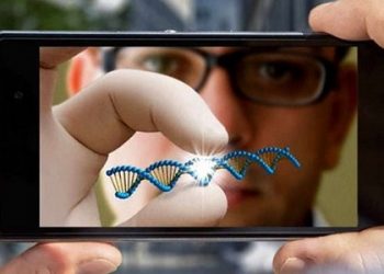 Специалисты создали микроскоп из смартфона