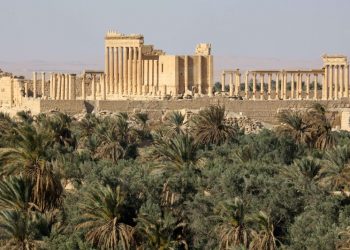 Боевики захватили половину территории Сирии