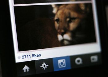 Веб-версия социальной сети Instagram оказалась недоступной для пользователей во всем мире