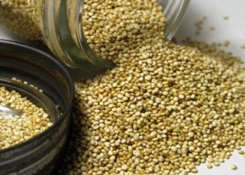 Стало известно, какие продукты вредят здоровью, как никотин