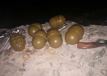 Волынянин пытался вывезти из зоны АТО гранаты