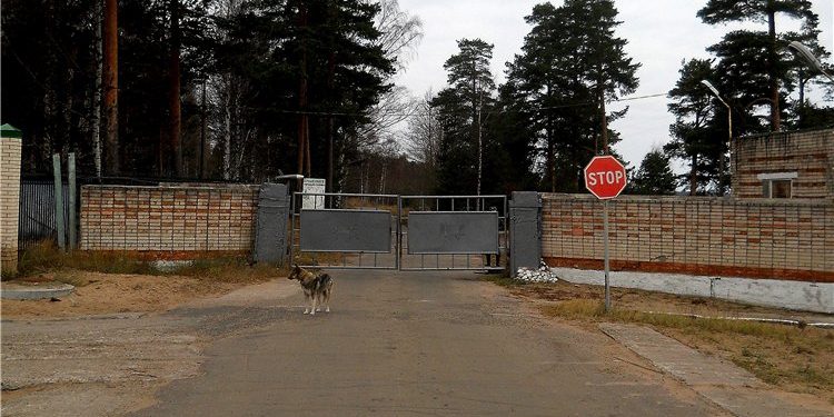 В военной части Киева мужчина прострелил себе шею