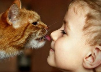 Ученые выяснили, домашние животные могут лечить аутизм у детей
