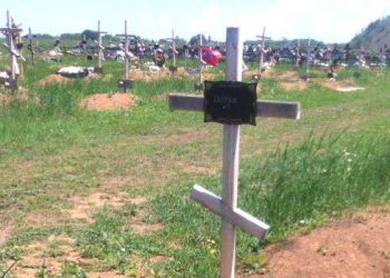В интернете появились новые фото безымянных могил террористов «ДНР»