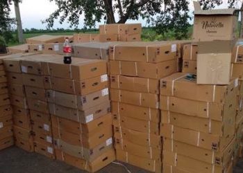 СБУ задержала 22 фуры с товарами для боевиков «ДНР»