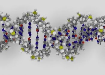 Ученые научились исправлять генетические мутации