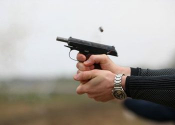Стало известно имя хозяина участка в Козине, откуда стреляли по детям