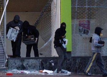 В Донецкой области задержали мародеров