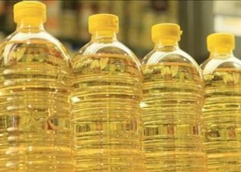 Врачи выяснили, какое масло больше всего подходит для диеты