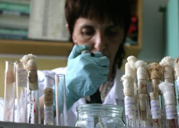 В Росси женщина с подозрением на вирус MERS находится дома на карантине