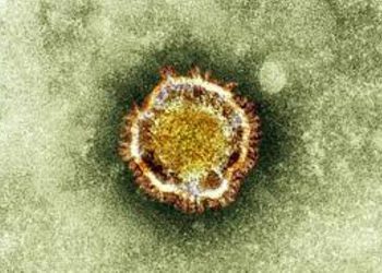 В Южной Корее растёт число жертв коронавируса MERS