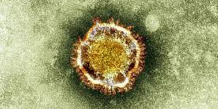 В Южной Корее растёт число жертв коронавируса MERS