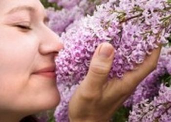 Специалисты считают, что женщины имеют более высокую обонятельную чувствительность, нежели мужчины