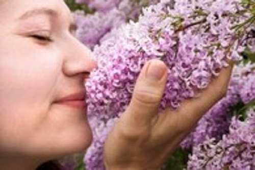 Специалисты считают, что женщины имеют более высокую обонятельную чувствительность, нежели мужчины
