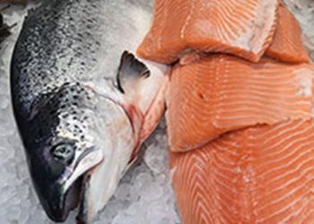 Стало известно, какой продукт надо есть беременным женщинам