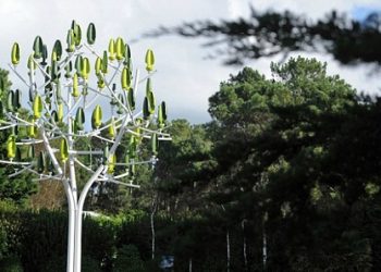 Создано дерево вырабатывающее электроэнергию