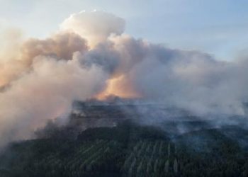 В чернобыльской зоне отчуждения вспыхнул масштабный пожар