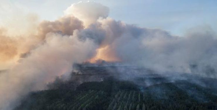 В чернобыльской зоне отчуждения вспыхнул масштабный пожар
