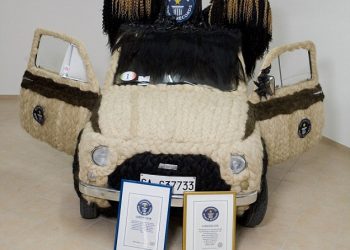 Создан самый волосатый автомобиль