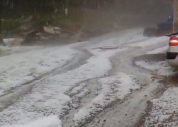 В закарпатском Межгорье крупный град уничтожил урожай