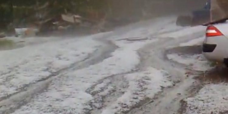 В закарпатском Межгорье крупный град уничтожил урожай