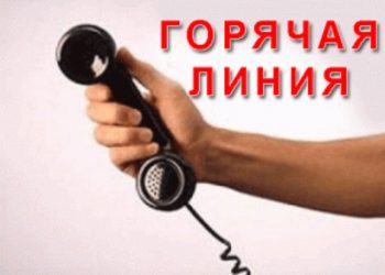 В Киеве работает "горячая линия" патрульной полиции