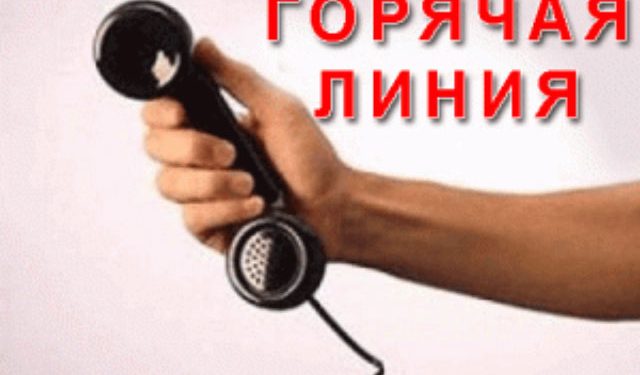В Киеве работает "горячая линия" патрульной полиции