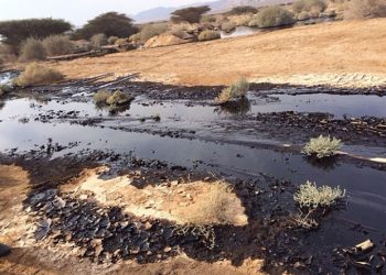 На турецком нефтепроводе прошумел сильный взрыв