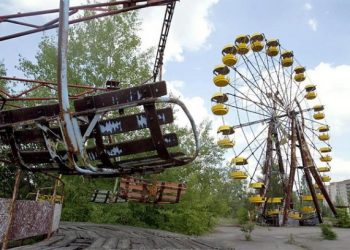 Яценюк намерен в зоне отчуждения создать заповедник
