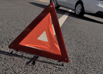Под Винницей кот стал причиной смертельной аварии