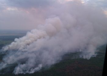 Пожар под Чернобылем: ликвидированы два очага возгорания