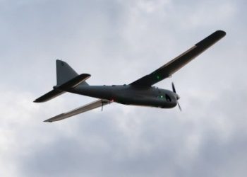 У Мариуполя сбили крупный беспилотник террористов