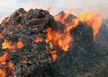 В Минской области сгорело около 390 тонн сена, - МЧС Беларуси