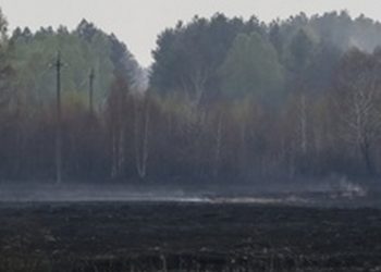В «Чернобыльской пуще» продолжается ликвидация пожара, - ГосЧС Украины