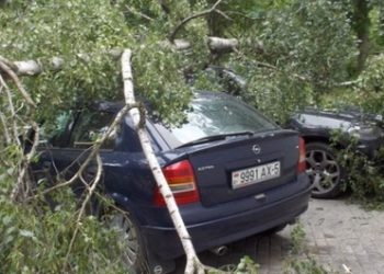 В Минске из-за сильного ветра повреждено пять автомобилей