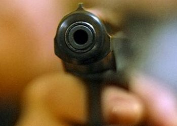 МВД Украины пролило свет на недавнюю стрельбу в киевском парке Нивки